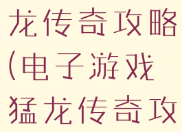 电子游戏猛龙传奇攻略(电子游戏猛龙传奇攻略大全)