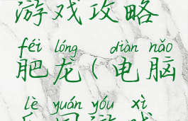 电脑乐园游戏攻略肥龙(电脑乐园游戏攻略官网)