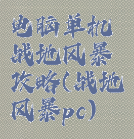 电脑单机战地风暴攻略(战地风暴pc)