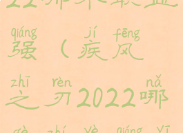 疾风之刃2022哪个职业强(疾风之刃2022哪个职业强一点)