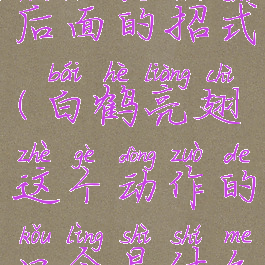 白鹤亮翅后面的招式(白鹤亮翅这个动作的口令是什么?)