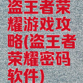 盗王者荣耀游戏攻略(盗王者荣耀密码软件)