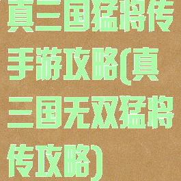 真三国猛将传手游攻略(真三国无双猛将传攻略)
