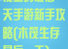 筏上的最后一天手游新手攻略(木筏生存最后一天)