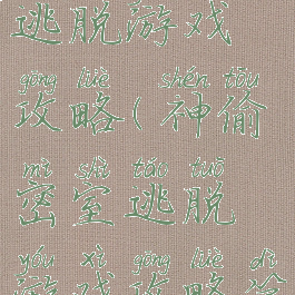 神偷密室逃脱游戏攻略(神偷密室逃脱游戏攻略第三章)