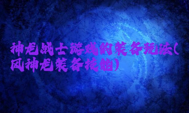 神龙战士游戏的装备玩法(风神龙装备技能)