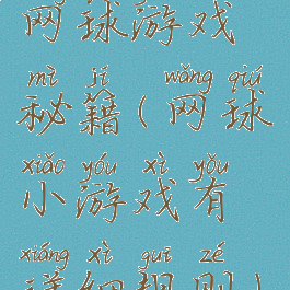 网球游戏秘籍(网球小游戏有详细规则)
