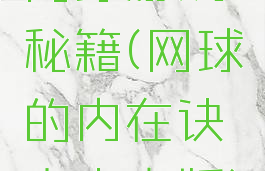 网球游戏秘籍(网球的内在诀窍中文版)