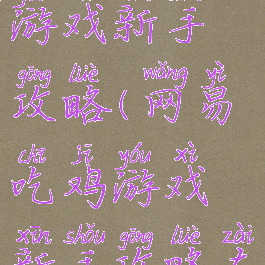 网易吃鸡游戏新手攻略(网易吃鸡游戏新手攻略在哪)