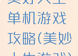 美好人生单机游戏攻略(美妙人生游戏)
