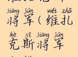 维扎克斯将军(维扎克斯将军攻略)