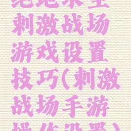 绝地求生刺激战场游戏设置技巧(刺激战场手游操作设置)