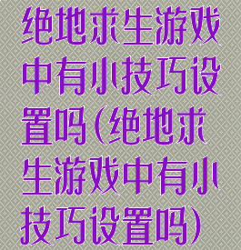 绝地求生游戏中有小技巧设置吗(绝地求生游戏中有小技巧设置吗)
