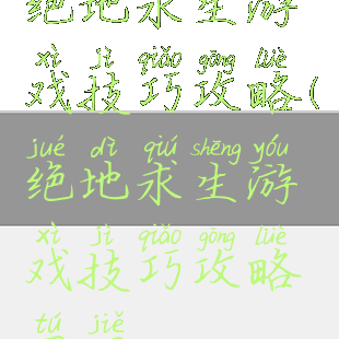 绝地求生游戏技巧攻略(绝地求生游戏技巧攻略图解)