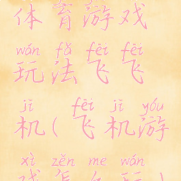 体育游戏玩法飞飞机(飞机游戏怎么玩)