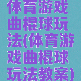 体育游戏曲棍球玩法(体育游戏曲棍球玩法教案)