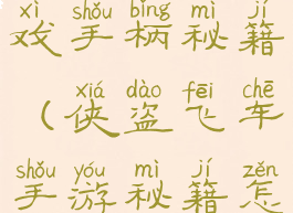 侠盗飞车游戏手柄秘籍(侠盗飞车手游秘籍怎么使用)