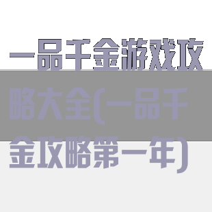 一品千金游戏攻略大全(一品千金攻略第一年)