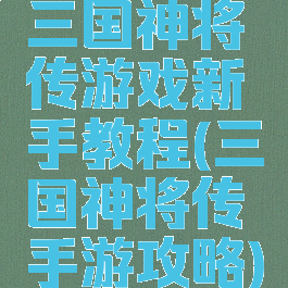 三国神将传游戏新手教程(三国神将传手游攻略)