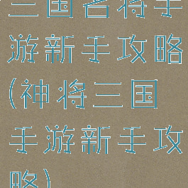 三国名将手游新手攻略(神将三国手游新手攻略)