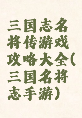 三国志名将传游戏攻略大全(三国名将志手游)