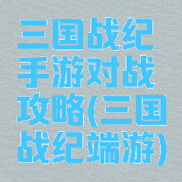 三国战纪手游对战攻略(三国战纪端游)