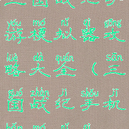 三国战纪手游模拟器攻略大全(三国战纪手机版模拟器)