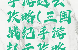 三国战纪手游赵云攻略(三国战纪手游赵云攻略视频)
