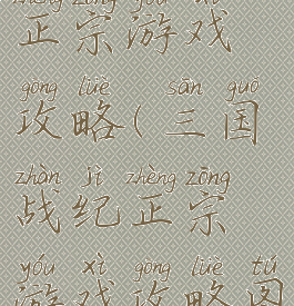 三国战纪正宗游戏攻略(三国战纪正宗游戏攻略图)