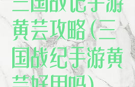 三国战记手游黄芸攻略(三国战纪手游黄芸好用吗)
