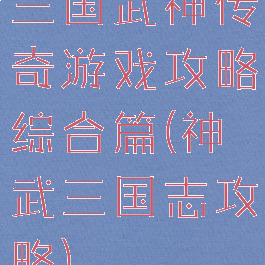 三国武神传奇游戏攻略综合篇(神武三国志攻略)