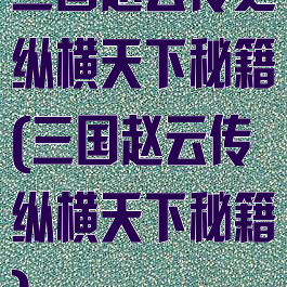 三国赵云传之纵横天下秘籍(三国赵云传纵横天下秘籍)