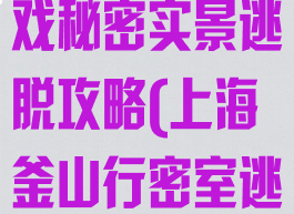 上海帕索岛游戏秘密实景逃脱攻略(上海釜山行密室逃脱攻略)