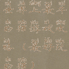 世界上最牛的猫游戏攻略(最好玩的猫)