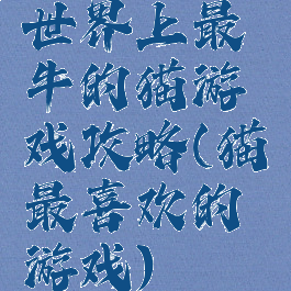 世界上最牛的猫游戏攻略(猫最喜欢的游戏)