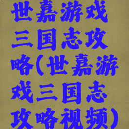 世嘉游戏三国志攻略(世嘉游戏三国志攻略视频)