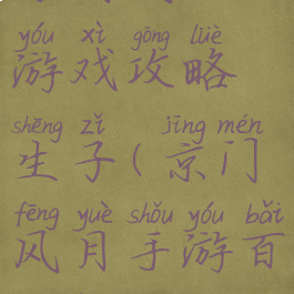 京门风云游戏攻略生子(京门风月手游百度版)