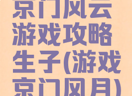 京门风云游戏攻略生子(游戏京门风月)
