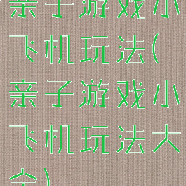 亲子游戏小飞机玩法(亲子游戏小飞机玩法大全)