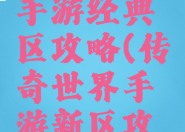 传奇世界手游经典区攻略(传奇世界手游新区攻略)