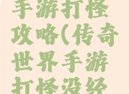 传奇世界手游打怪攻略(传奇世界手游打怪没经验)
