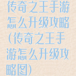 传奇之王手游怎么升级攻略(传奇之王手游怎么升级攻略图)