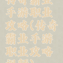 传奇霸业手游职业攻略(传奇霸业手游职业攻略视频)