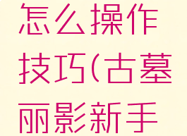 古墓丽影游戏键盘怎么操作技巧(古墓丽影新手教程最后按哪个键)