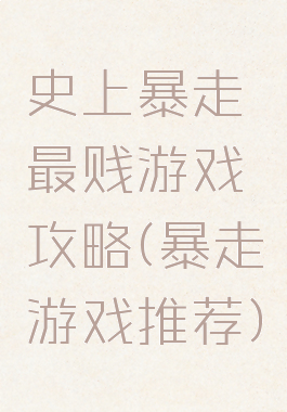 史上暴走最贱游戏攻略(暴走游戏推荐)