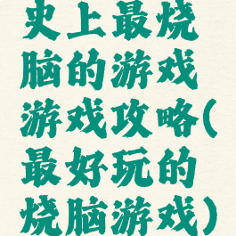 史上最烧脑的游戏游戏攻略(最好玩的烧脑游戏)