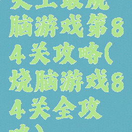 史上最烧脑游戏第84关攻略(烧脑游戏84关全攻略)