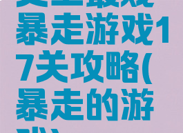史上最贱暴走游戏17关攻略(暴走的游戏)