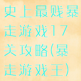 史上最贱暴走游戏17关攻略(暴走游戏王)