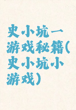 史小坑一游戏秘籍(史小坑小游戏)
